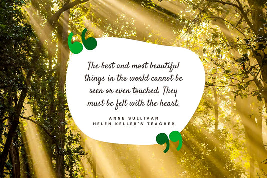 Quotes to Live By: Words of Wisdom to Inspire Your Authentic Self